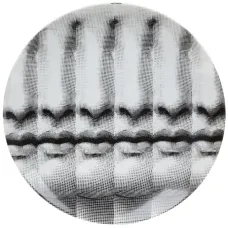 Тарелка с принтом