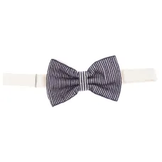 Галстук-бабочка в вертикальную полоску