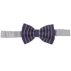 Шелковый галстук-бабочка