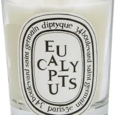 Ароматизированная свеча 'Eucalyptus'