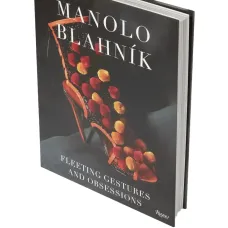 Книга 'Fleeting Gestures and Obsessions'