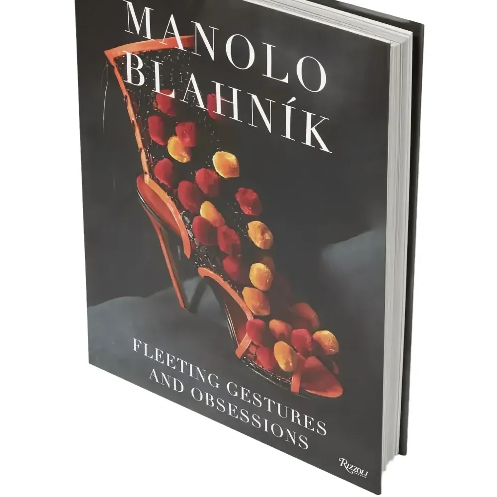 Книга 'Fleeting Gestures and Obsessions'