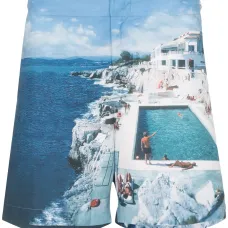 Плавки-шорты Bulldog Hulton с принтом Плавки-шорты Bulldog Hulton с принтом