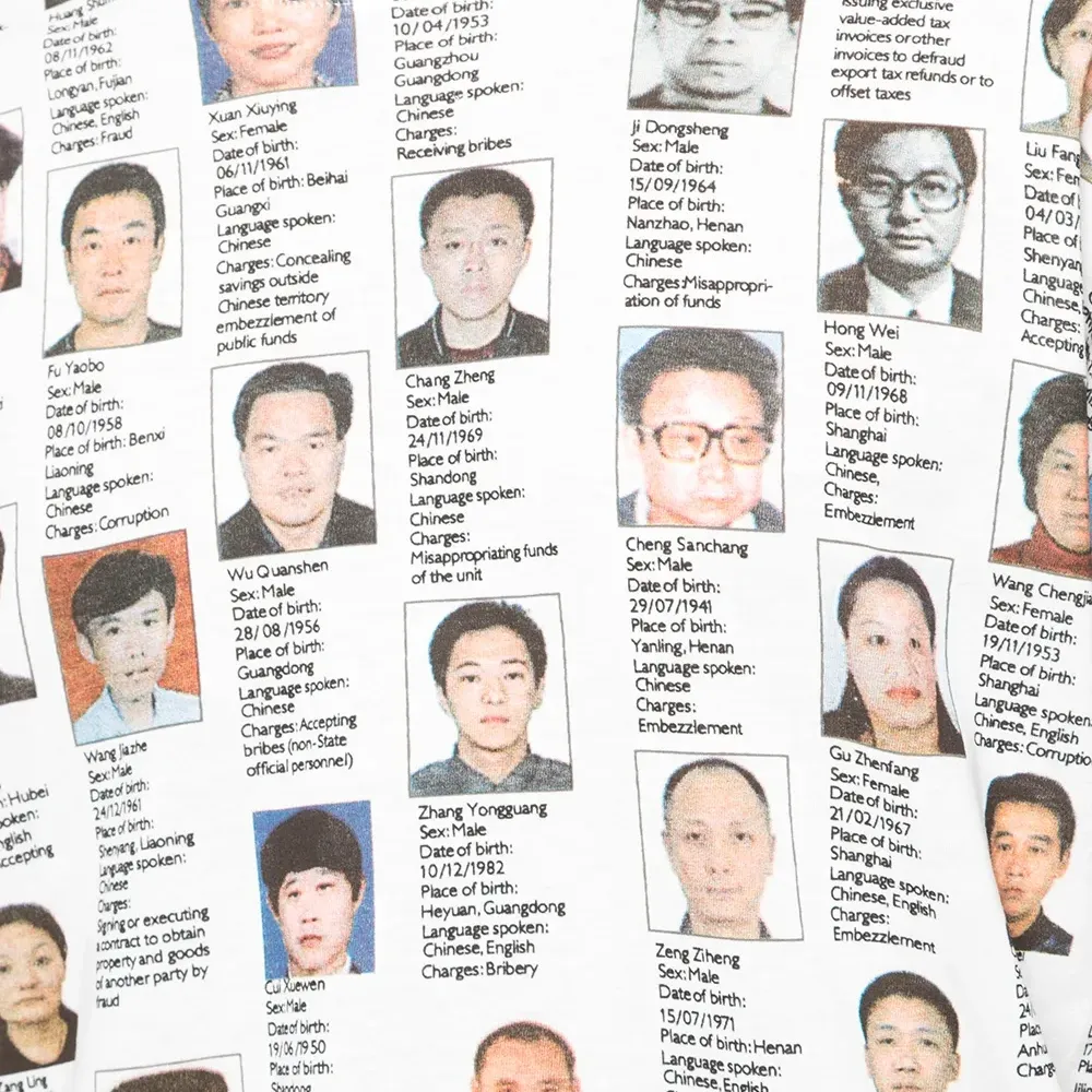 футболка Mostly Wanted