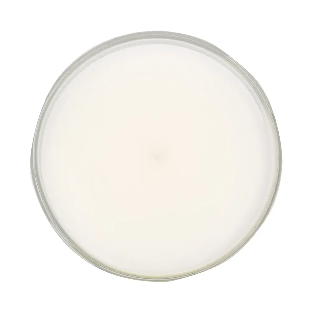 Ароматическая свеча