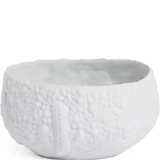 Чаша Mojave Desert Чаша Mojave Desert