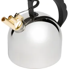 Чайник со свистком