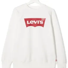 Толстовка с логотипом