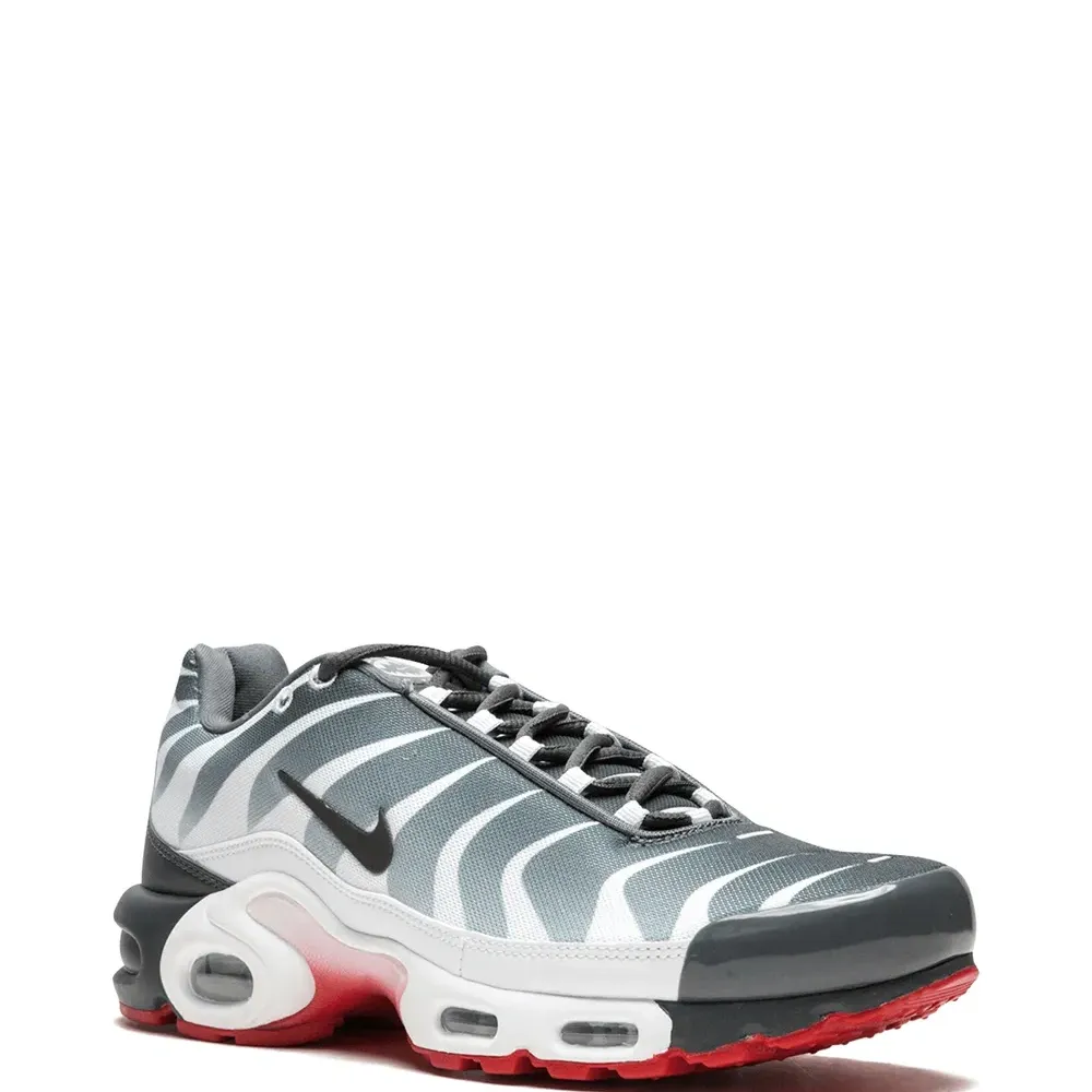 Кроссовки Air Max Plus