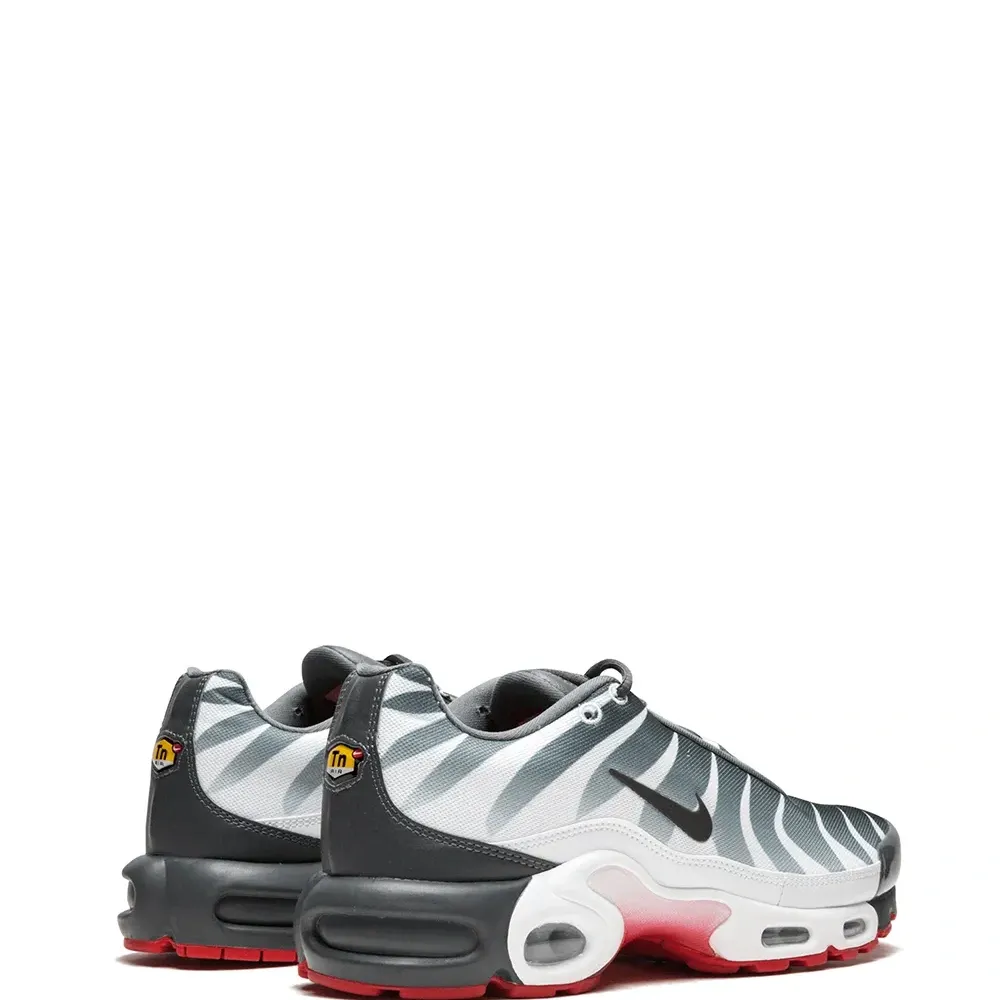 Кроссовки Air Max Plus