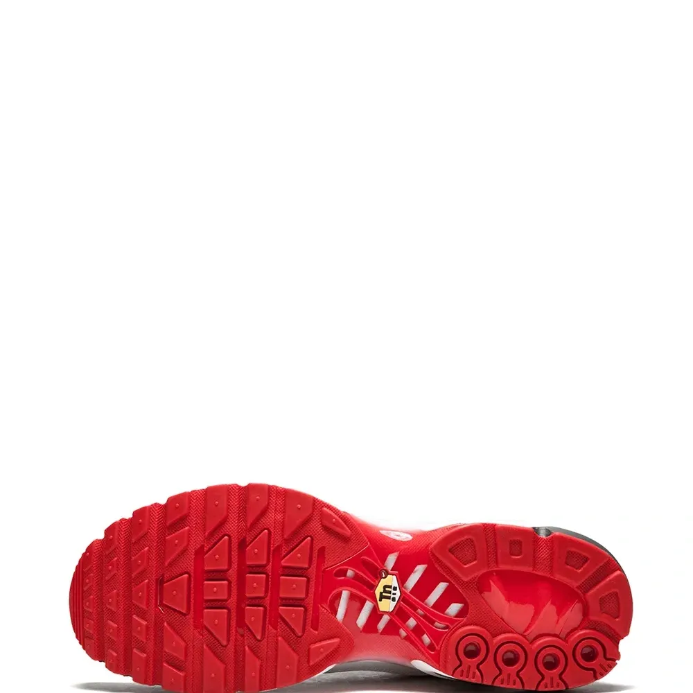 Кроссовки Air Max Plus