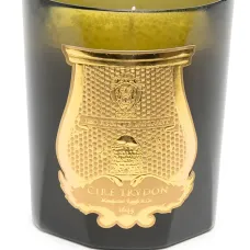 Ароматическая свеча Gabriel (270 г)