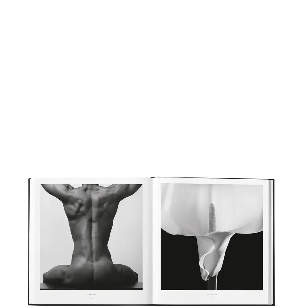 Книга Robert Mapplethorpe