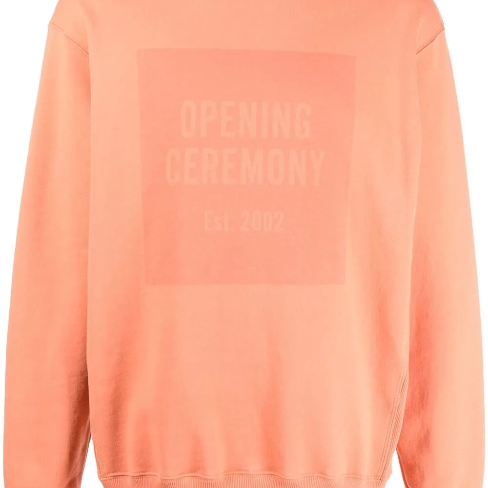 толстовка с логотипом