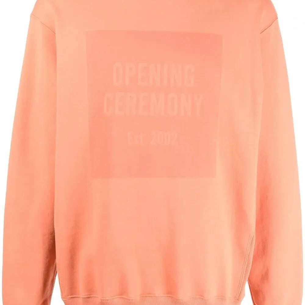 толстовка с логотипом