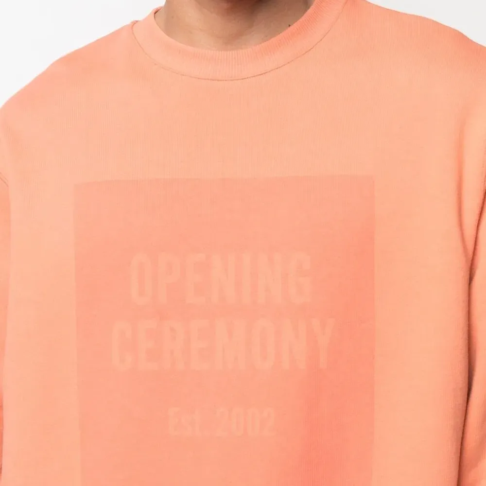 толстовка с логотипом