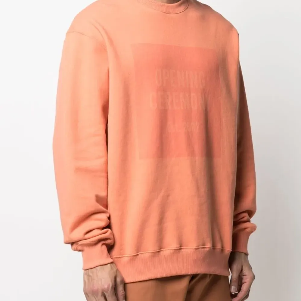 толстовка с логотипом