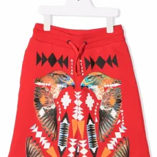 спортивные шорты с принтом Hawk