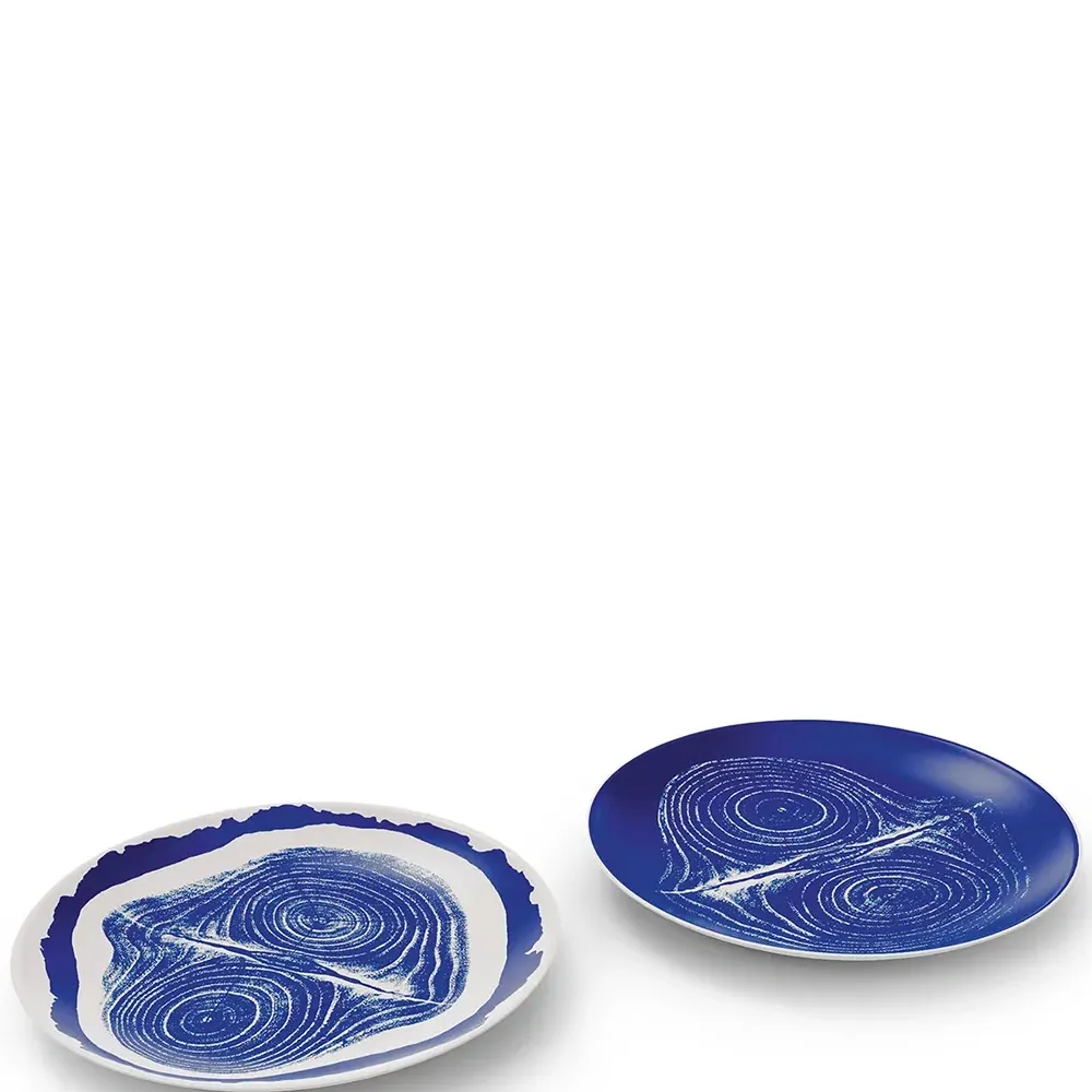 Набор из двух тарелок Tronc