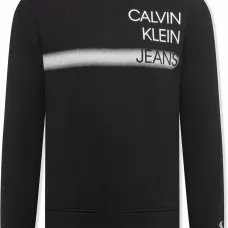 толстовка с логотипом