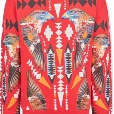 толстовка Hawk Cross