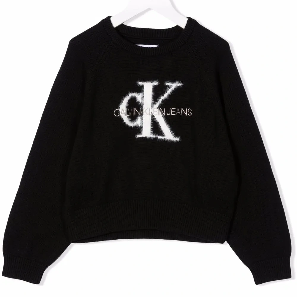 толстовка с логотипом