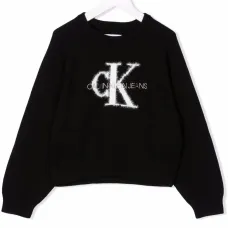 толстовка с логотипом