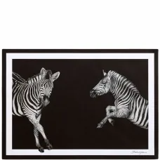 Набор из 36 салфеток с зебровым принтом