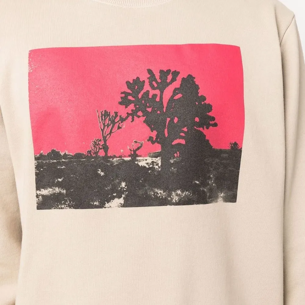 Толстовка Joshua с графичным принтом