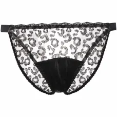 Полупрозрачные трусы-брифы Kittie