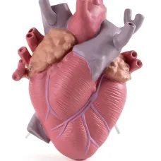 Ваза Love in Bloom