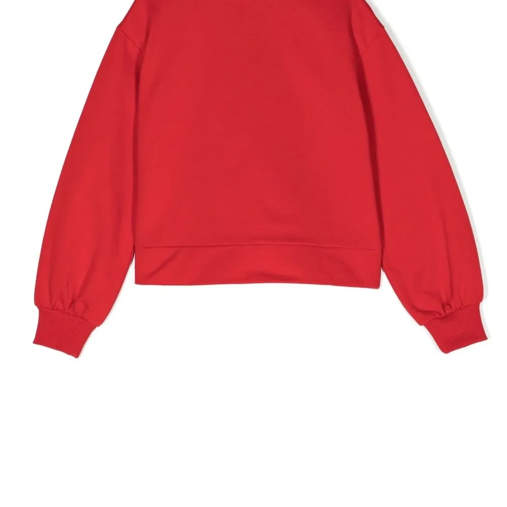 Толстовка с логотипом