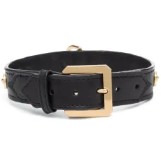 Большой ошейник Icon