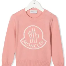 Толстовка с логотипом