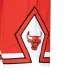 Шорты Chicago Bulls Authentic
