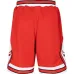 Шорты Chicago Bulls Authentic