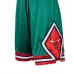 Шорты Chicago Bulls Authentic