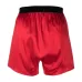 Шелковые боксеры с логотипом