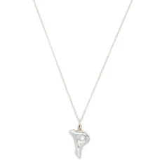 Серебряное колье с подвеской P