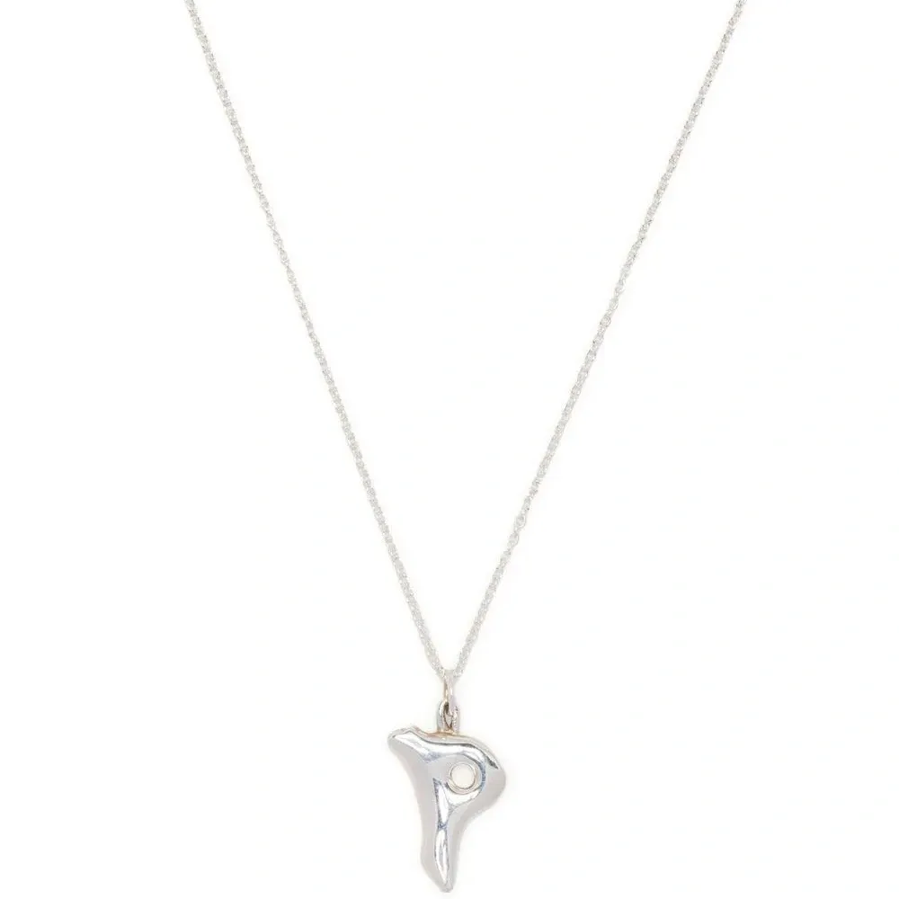 Серебряное колье с подвеской P