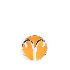 подвеска Aries POP Coin