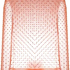 Полупрозрачная блузка с кристаллами Полупрозрачная блузка с кристаллами