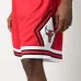 Спортивные шорты NBA Chicago Bulls
