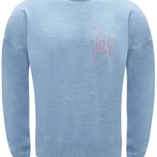 Толстовка с логотипом