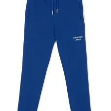 Спортивные брюки с вышитым логотипом Спортивные брюки с вышитым логотипом