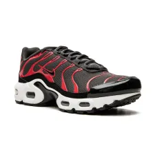 Кроссовки Air Max Plus