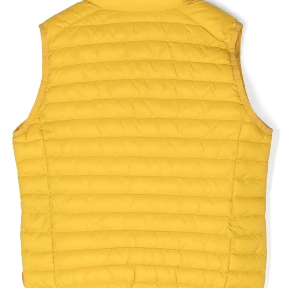 Дутый жилет Dolin