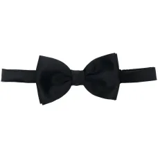 Галстук-бабочка Papillon