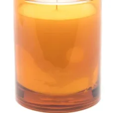 Ароматическая свеча Bookworm (240 г)