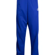 Спортивные брюки с вышитым логотипом Спортивные брюки с вышитым логотипом